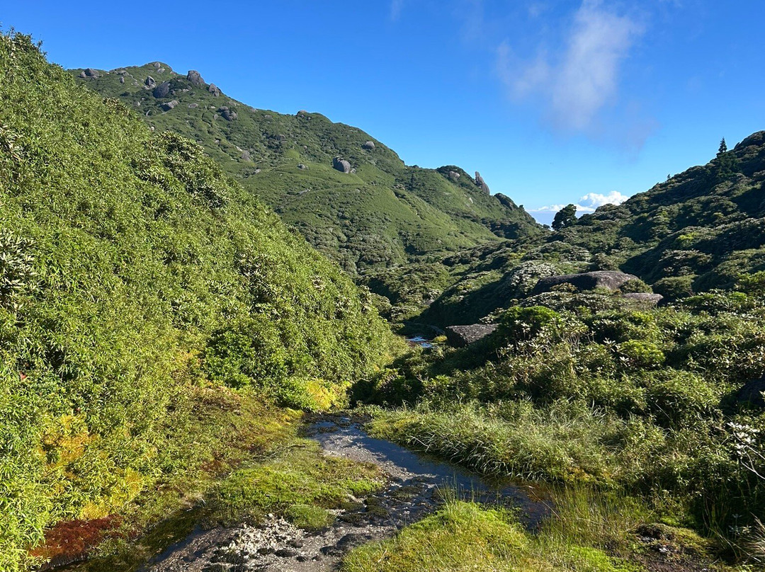 Mt. Miyanouradake-屋久岛町必去景点