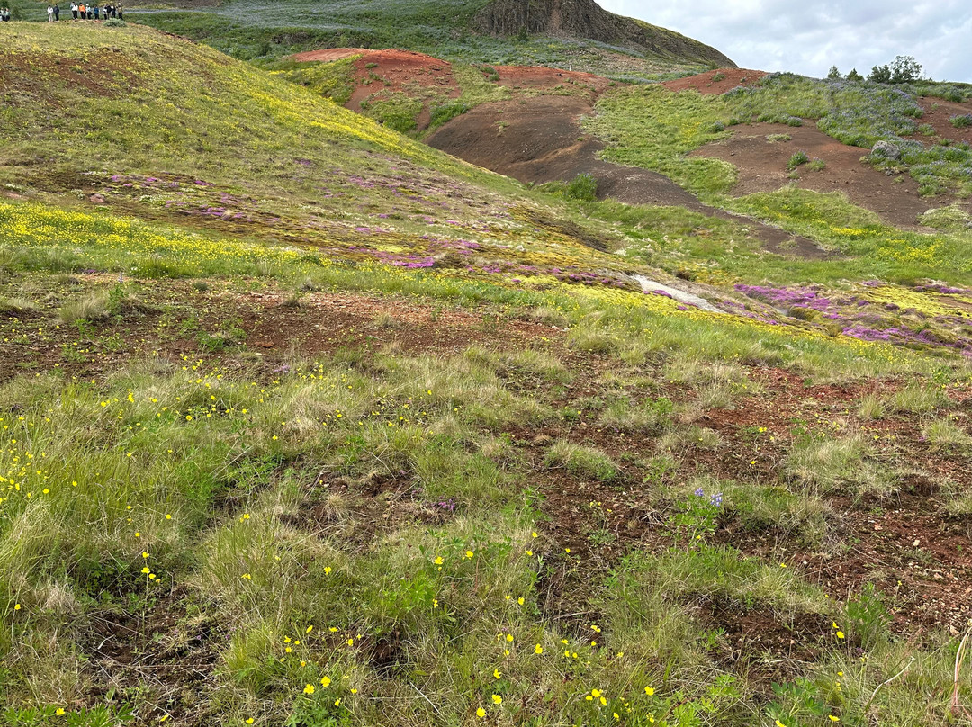 Site de Geysir-Haukadalur必去景点