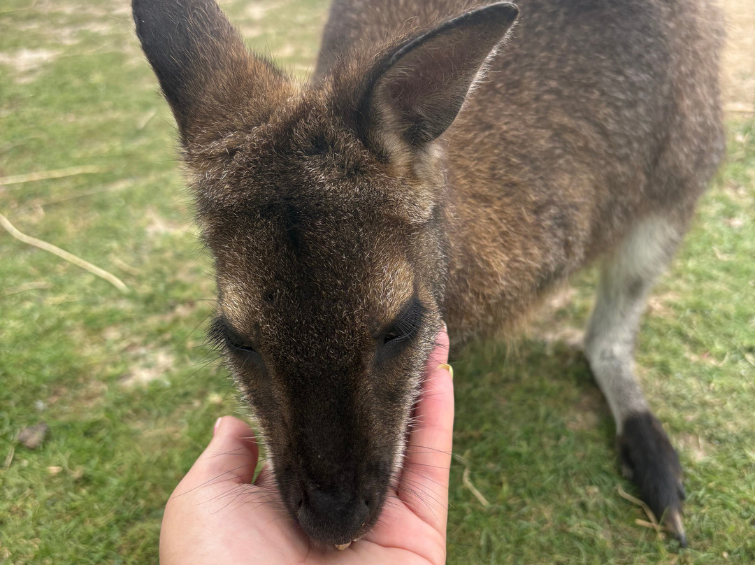 Peak Wildlife Park-Winkhill必去景点