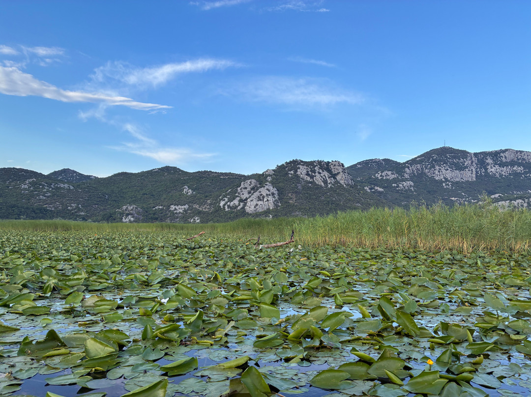 Lake Skadar-黑山共和国必去景点