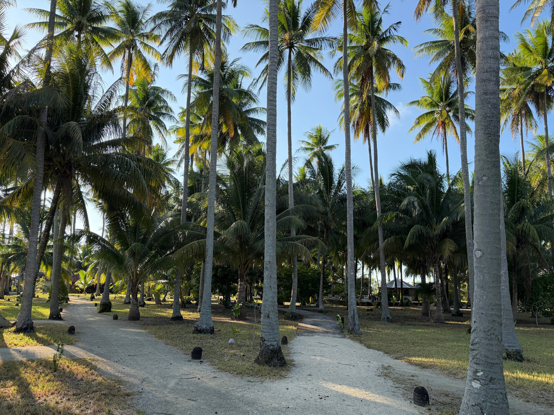 Virgin Cocoa - Tropical Hideaway Island主图