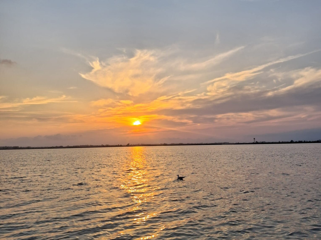 Lake Massaciuccoli-Torre del Lago Puccini必去景点