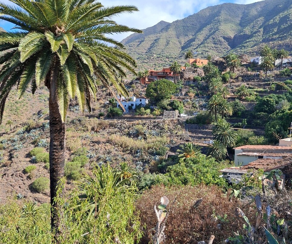 Adventures Tenerife-La Esperanza必去景点