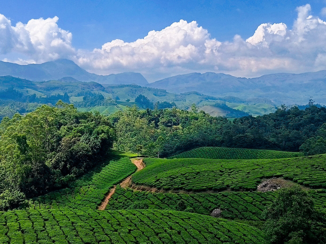 Munnar Trekking Adventure-慕那尔必去景点