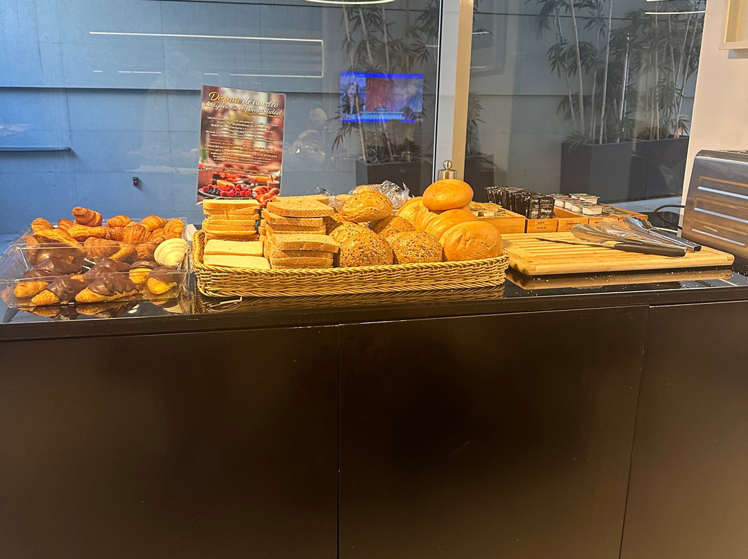 西班牙广场维也纳套房酒店主图