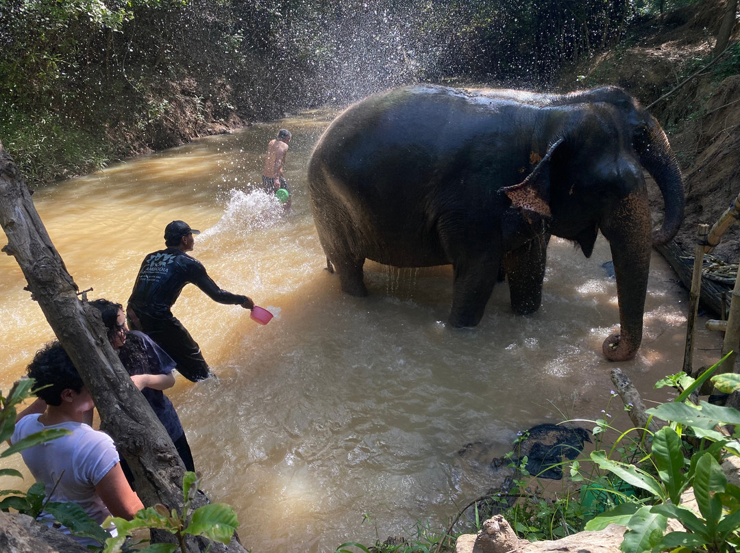 Siem Reap Private Tours-暹粒必去景点