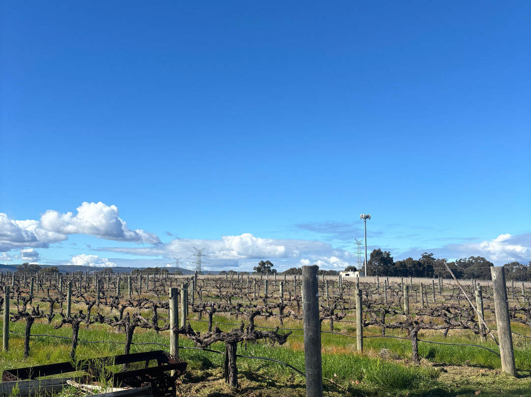 Out & About Wine Tours-珀斯必去景点