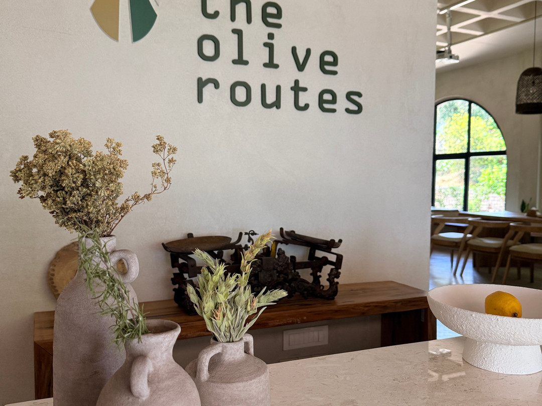 The Olive Routes-Androusa必去景点
