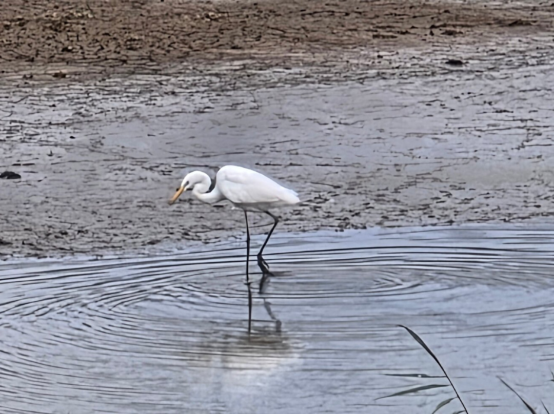 Urdaibai Bird Center-Gautegiz Arteaga必去景点