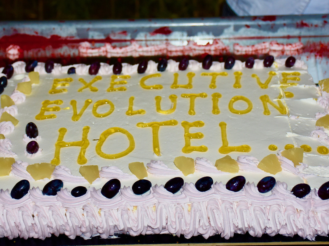 Hotel Executive主图