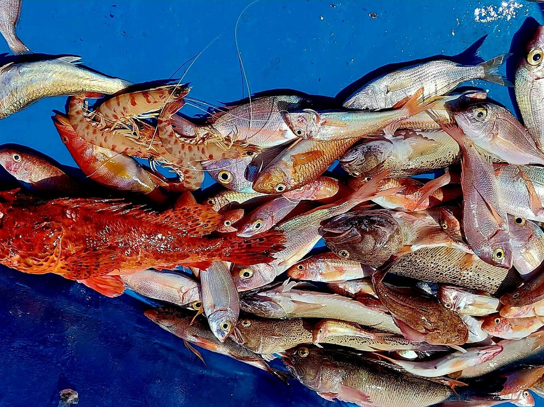 Kefalonia Fishing Trip GRECOS-Pesada必去景点