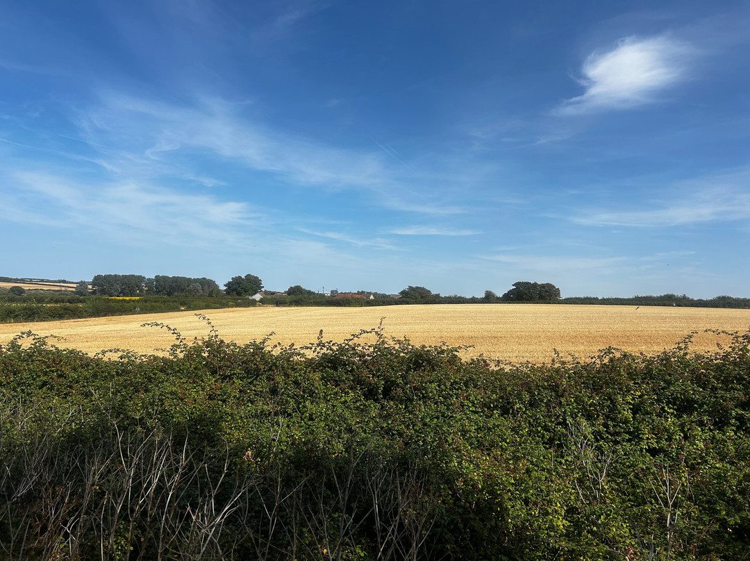 Wells & Walsingham Light Railway-Wells-next-the-Sea必去景点