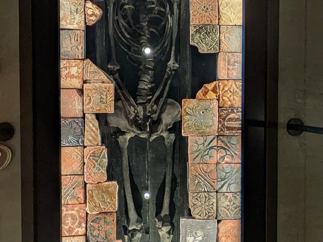 Norwich Castle Museum & Art Gallery-诺威奇必去景点