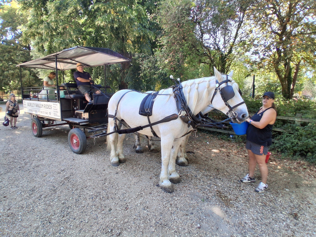 Burley Wagon Rides-Burley必去景点