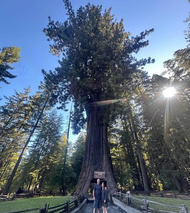 Chandelier Drive-Through Tree-莱吉特必去景点
