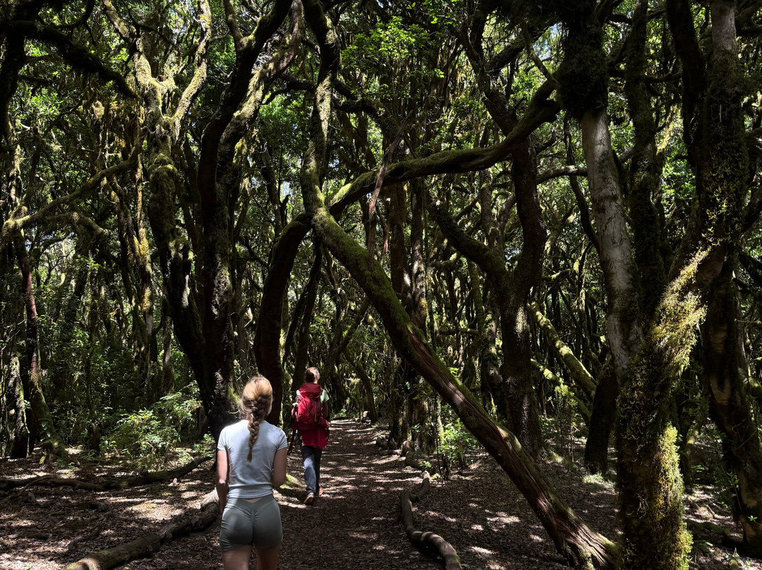 Ipalan Hiking Guided Tour-阿拉赫罗必去景点