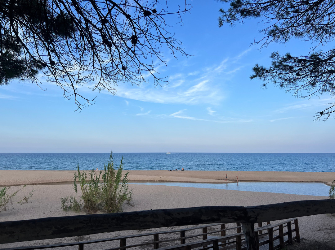 Pizzeria Isola Beach