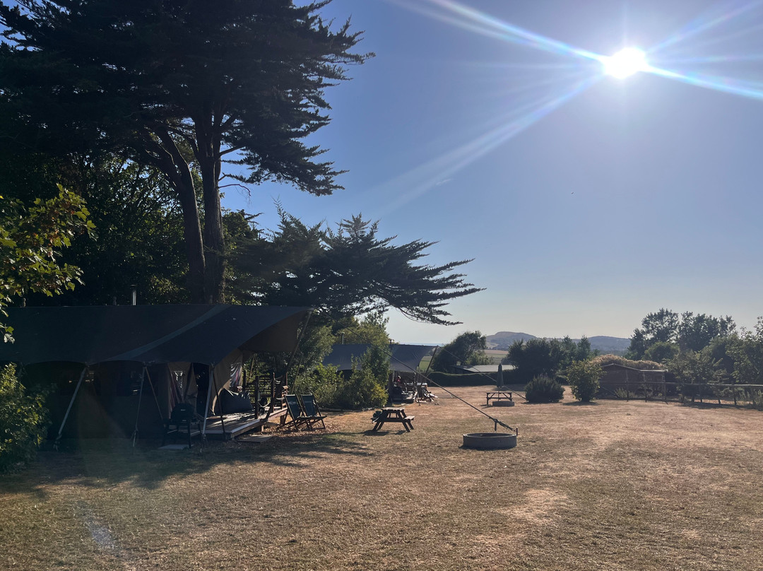 Tapnell Farm Park-雅茅斯必去景点