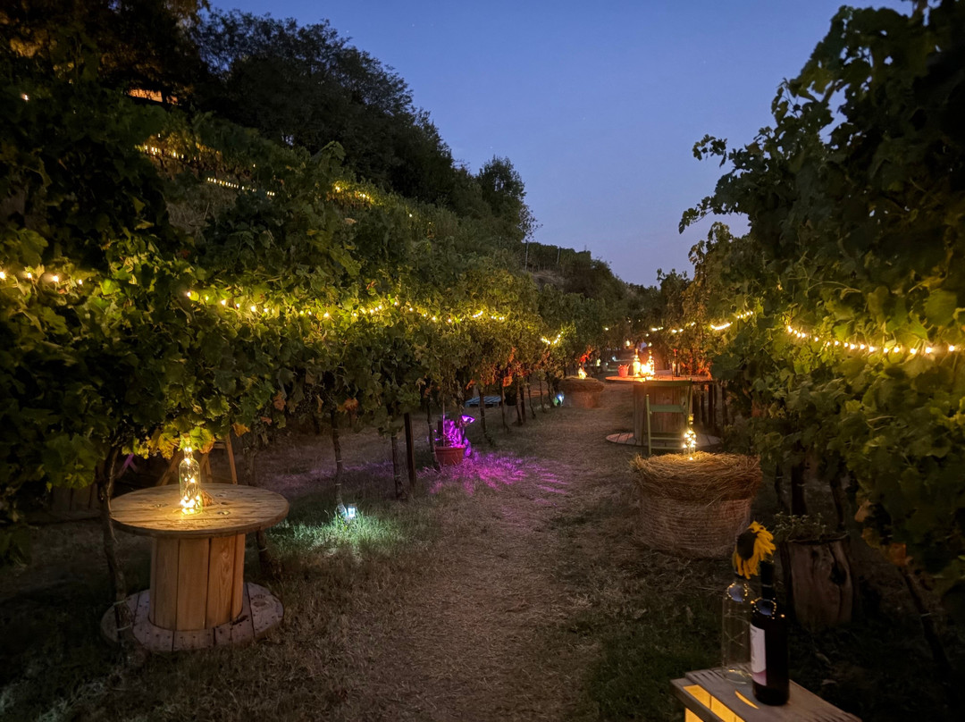 Tenuta Lonisa