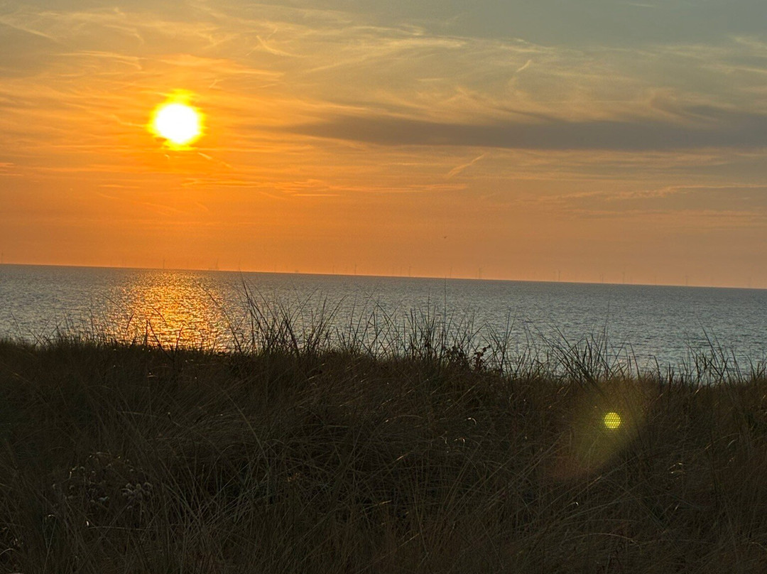Lost Monument-Egmond aan Zee必去景点