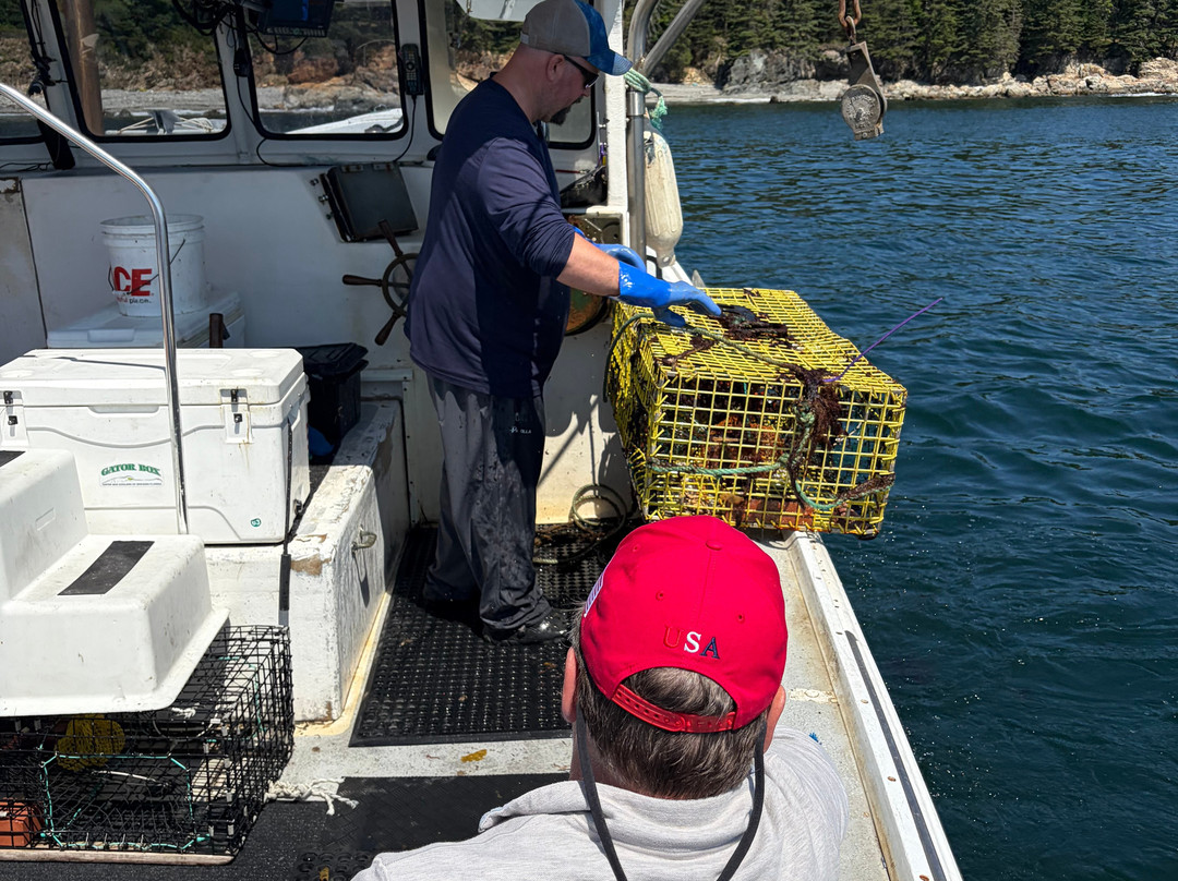 Bar Harbor Fishing Tours-山漠岛必去景点
