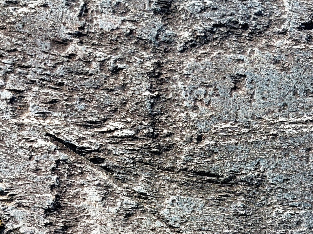 Parco Delle Incisioni Rupestri di Grosio e Grosotto-Grosio必去景点