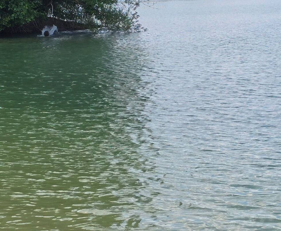 Tvedörasjön-Torna Hallestad必去景点