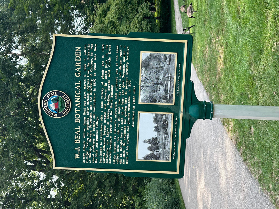 Michigan State University-东兰辛必去景点