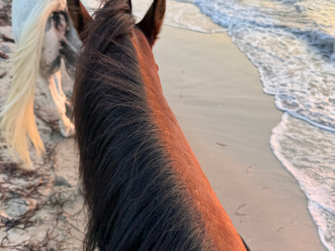 The Ranch Kos Horse Riding-Marmari必去景点