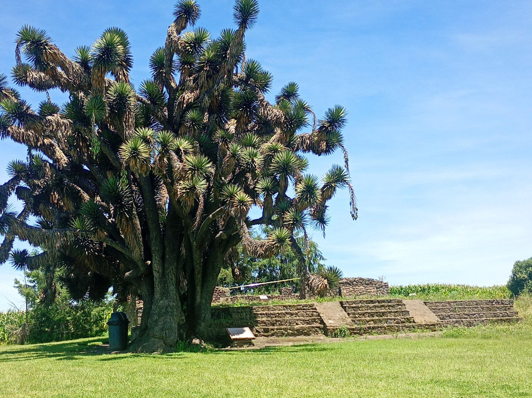 Tecoaque Zona Arqueologica-Tlaxcala必去景点