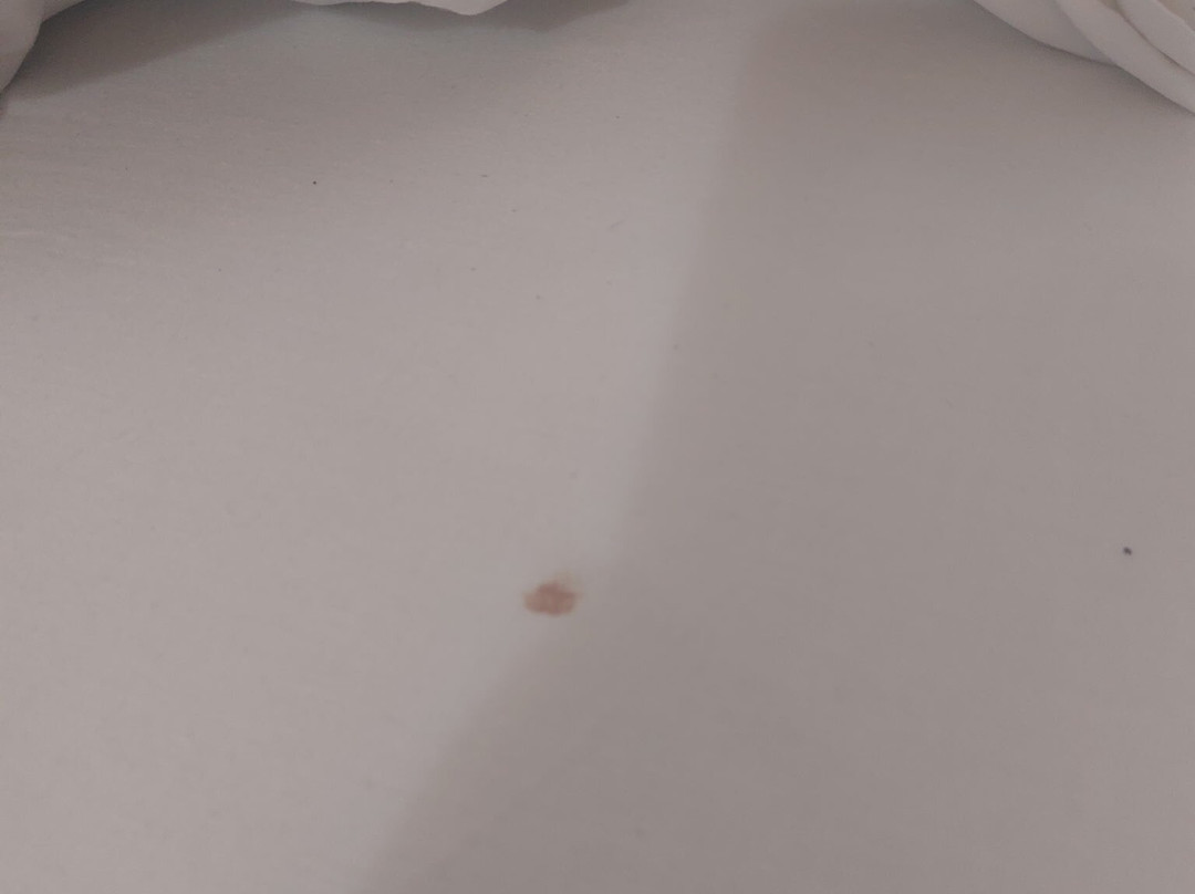 格罗特酒店主图
