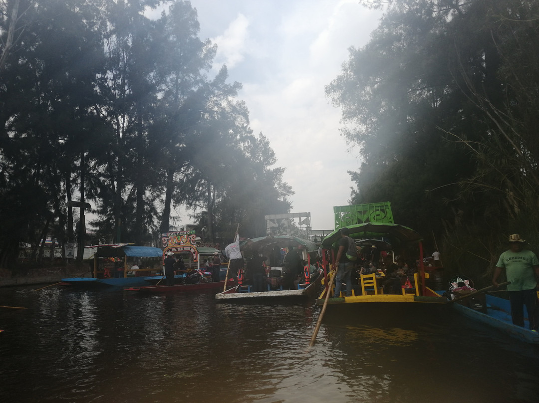 Floating Gardens of Xochimilco-墨西哥城必去景点