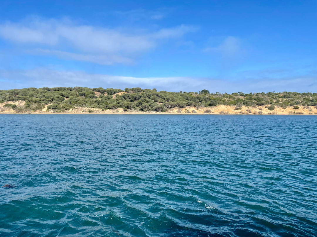 Wildlife Coast Cruises-考斯必去景点