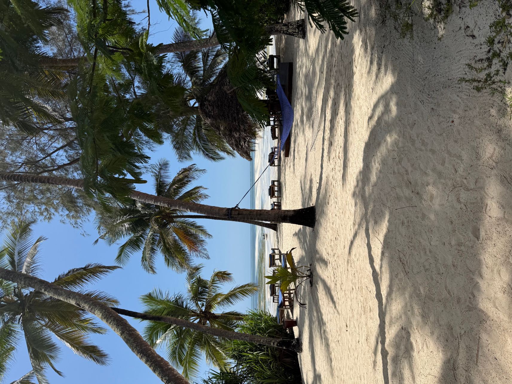 蓬圭海滩酒店-旅行者