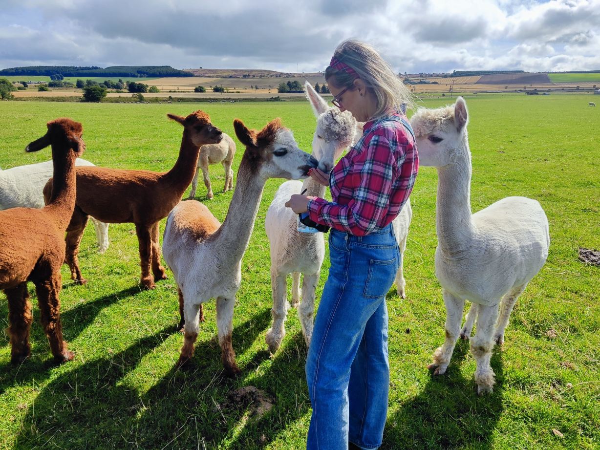 Newton Farm Holidays & Tours-旅行者