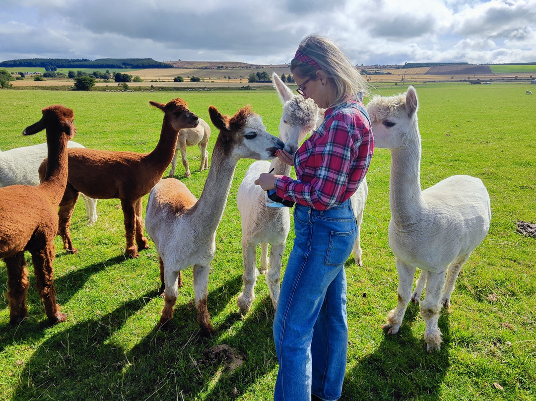 Newton Farm Holidays & Tours主图