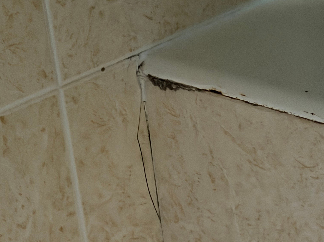 弗格斯俱乐部卡雷马水花主图