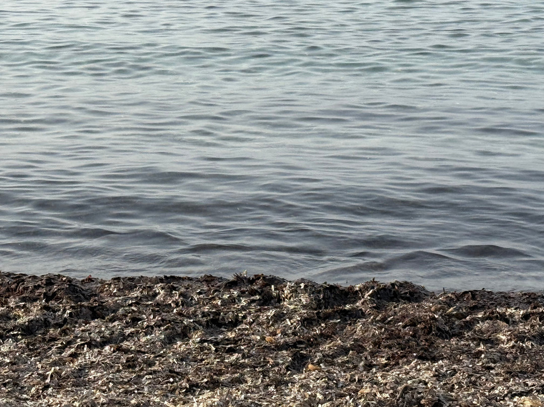 Spiaggia di Porto Ainu-Budoni必去景点