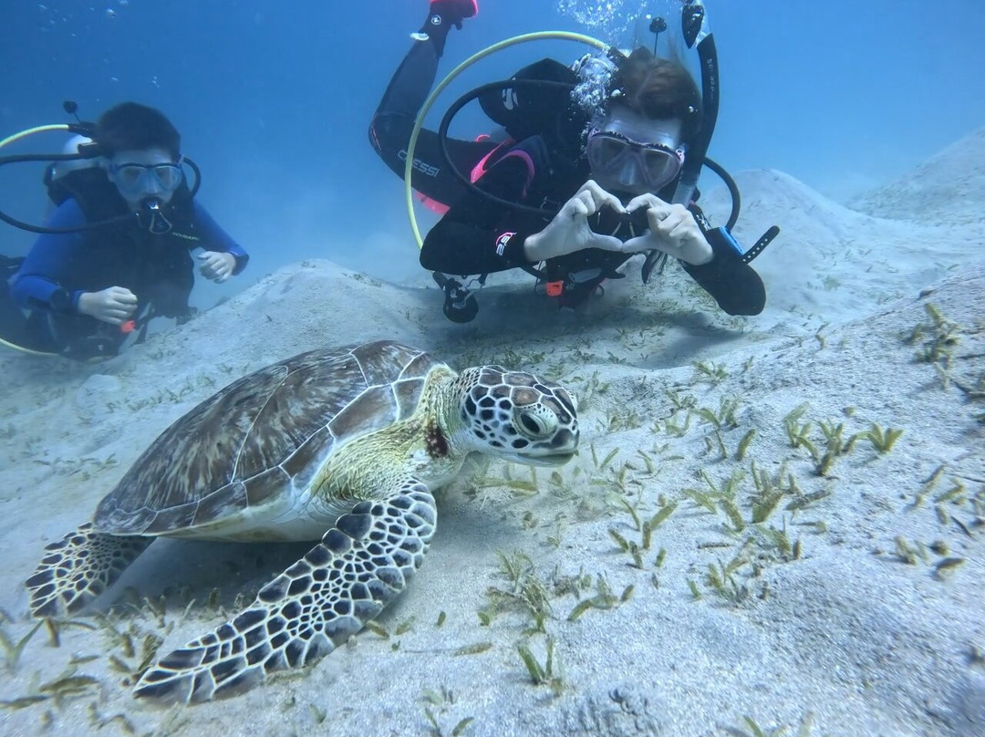 iDive Diving Centre-马卡迪湾必去景点
