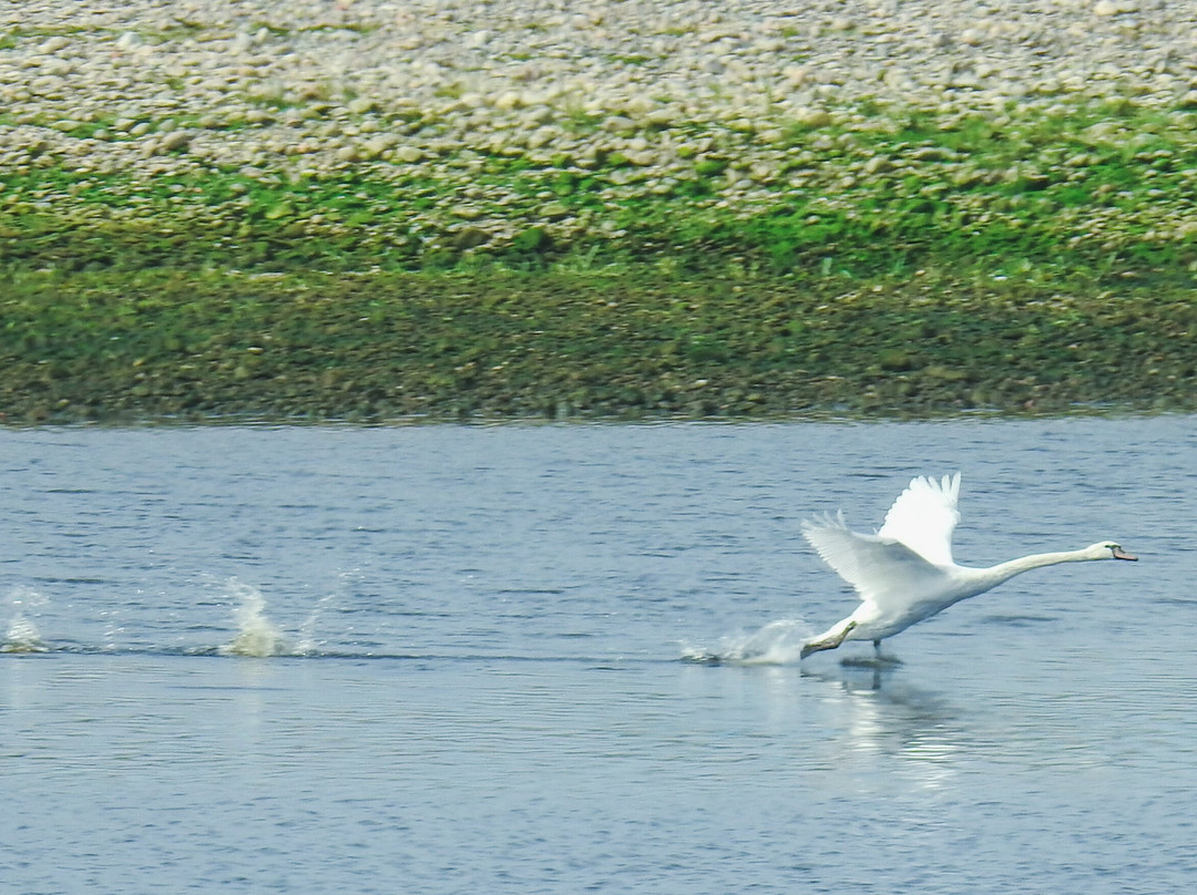 WDC Scottish Dolphin Centre-Fochabers必去景点