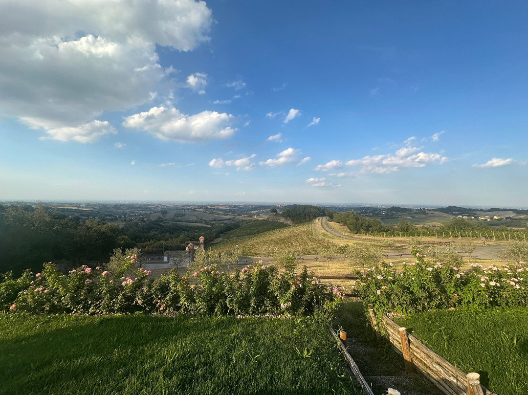 Cantina Il Poggio-萨尔索马焦雷泰尔梅必去景点
