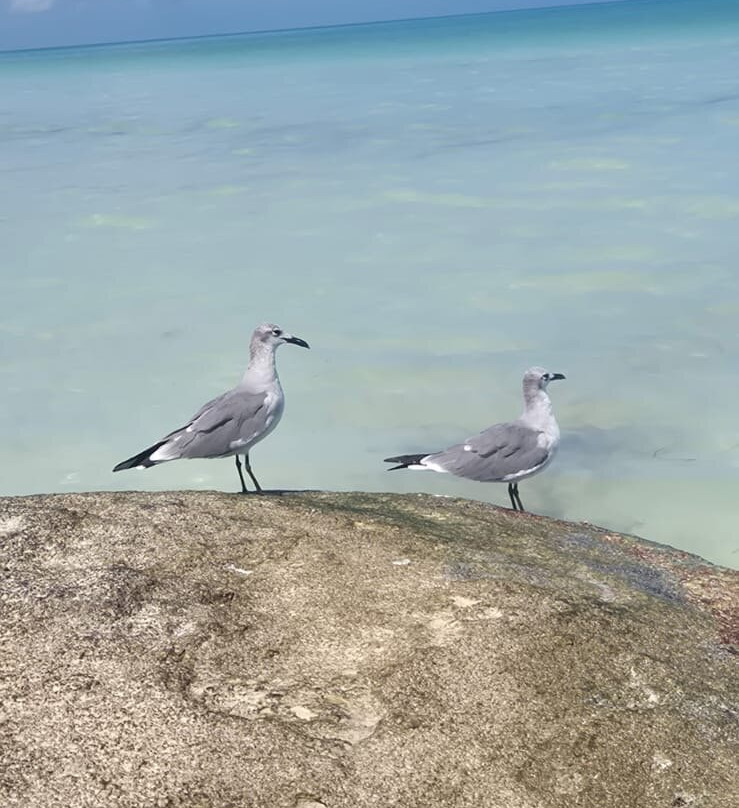 Isla Holbox-Holbox Island必去景点