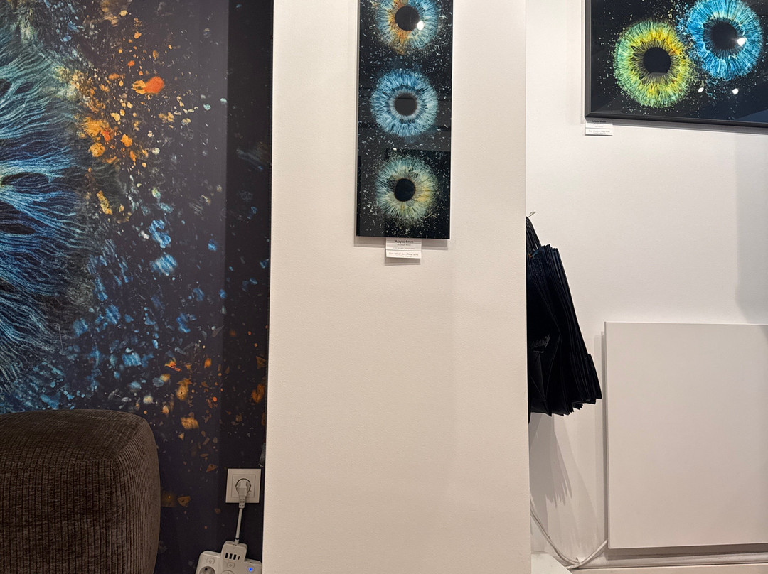 Eyemazy Amsterdam-阿姆斯特丹必去景点