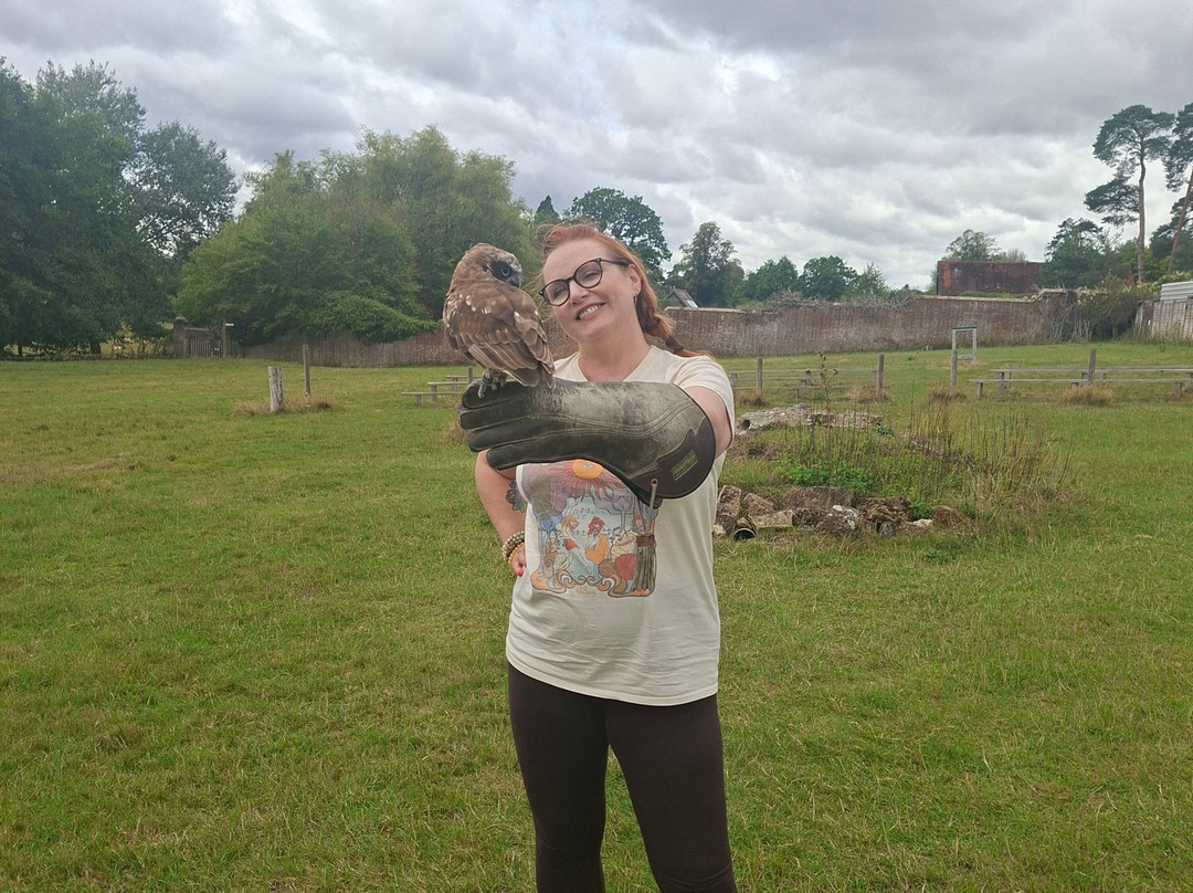 UK Owl And Raptor Centre-Groombridge必去景点