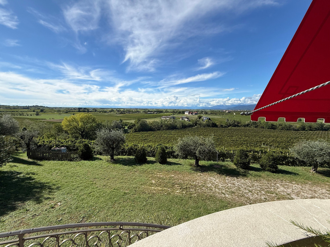 Zorzettig Vini-Cividale del Friuli必去景点