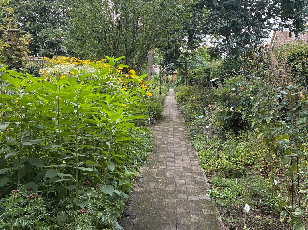 Botanische Tuin Dr. Costerus-Hilversum必去景点