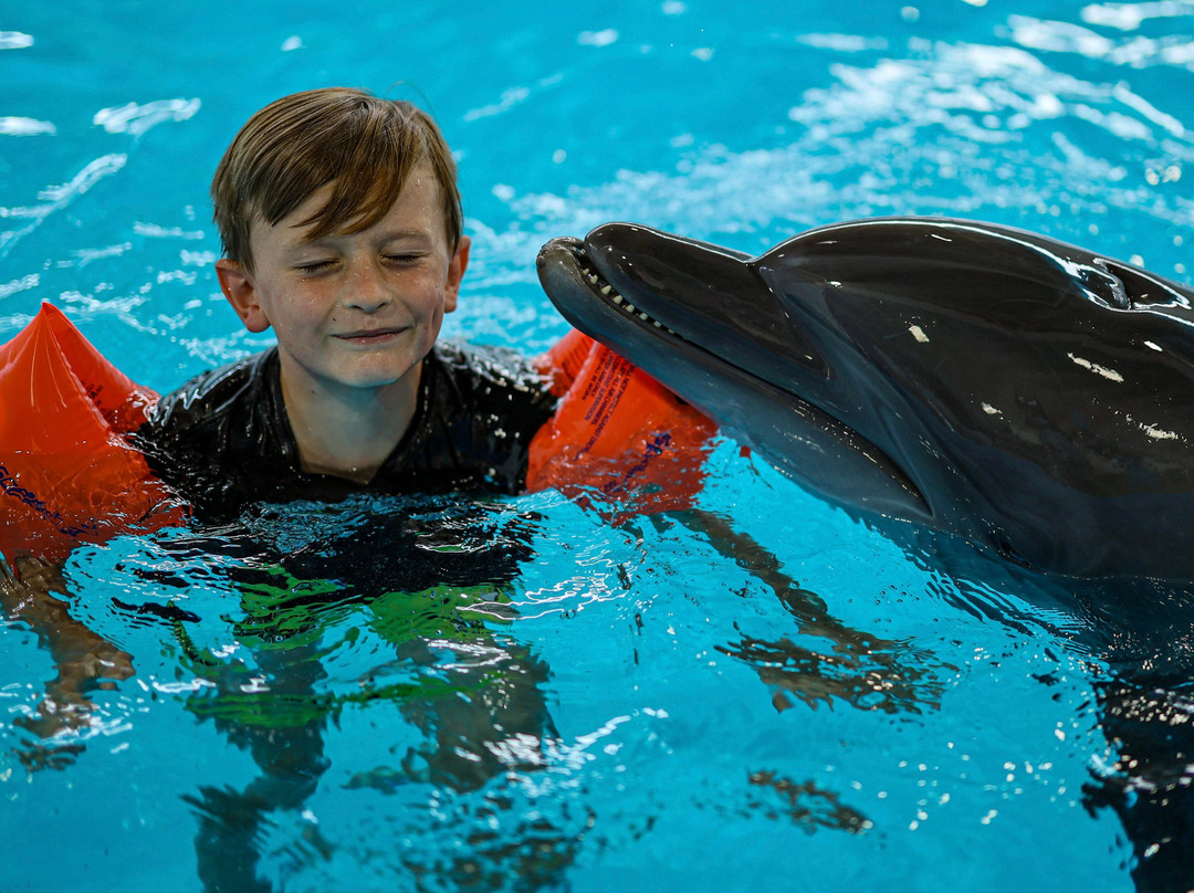Pattaya Dolphinarium-芭堤雅必去景点