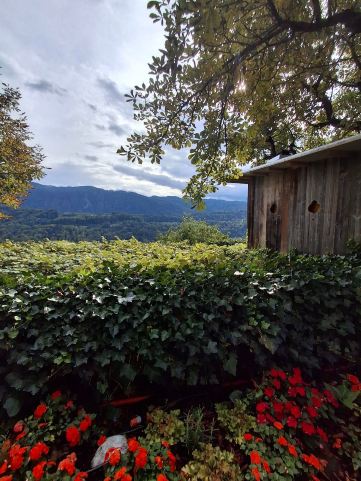 Kunstelj Pension-旅行者