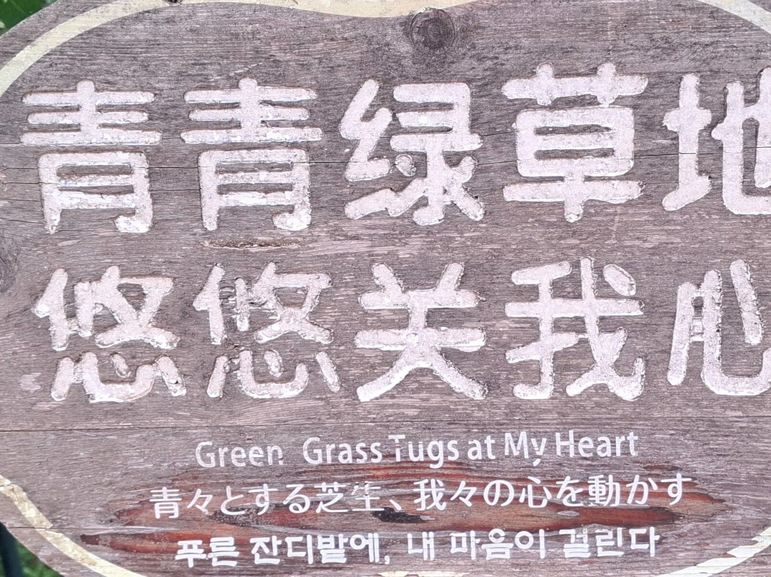 Top of the Three Peaks Gorges-奉节县必去景点