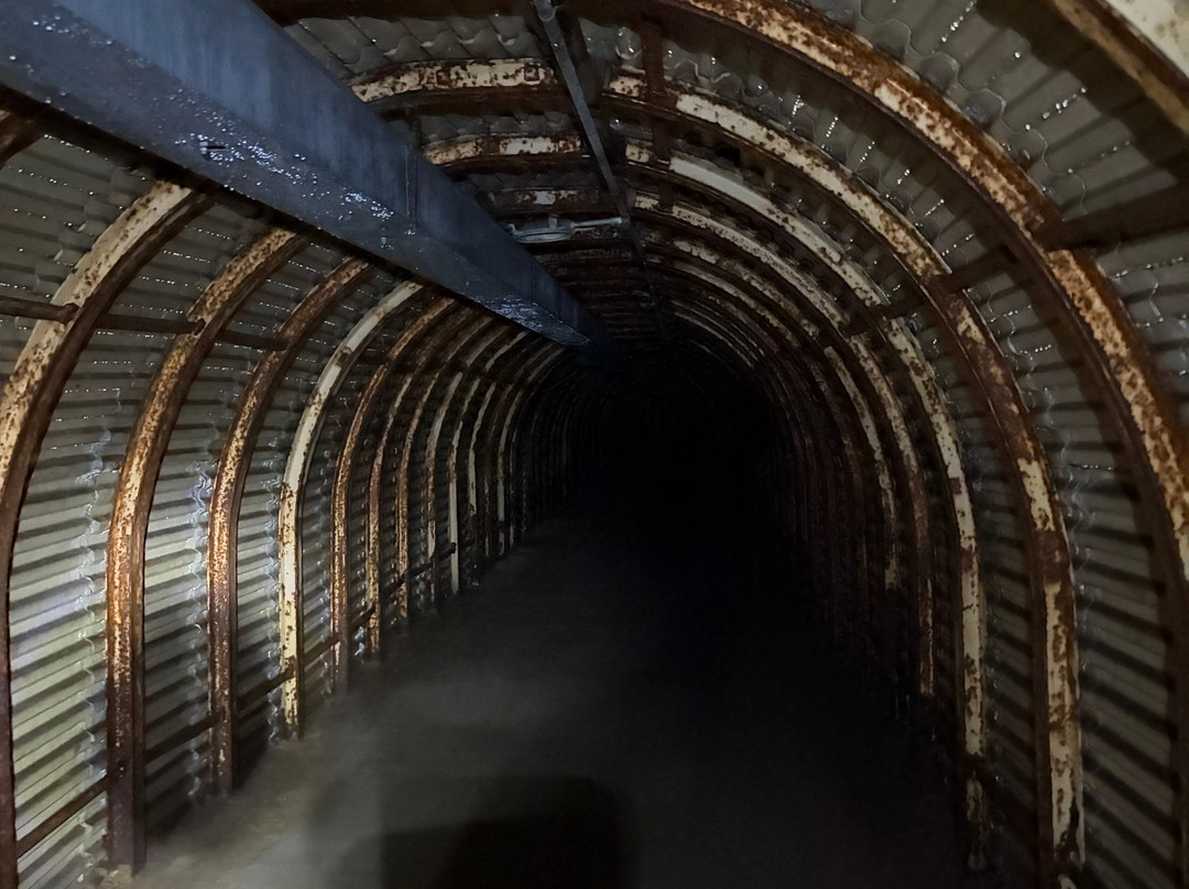 Fan Bay Deep Shelter and Gun Emplacement-多佛必去景点